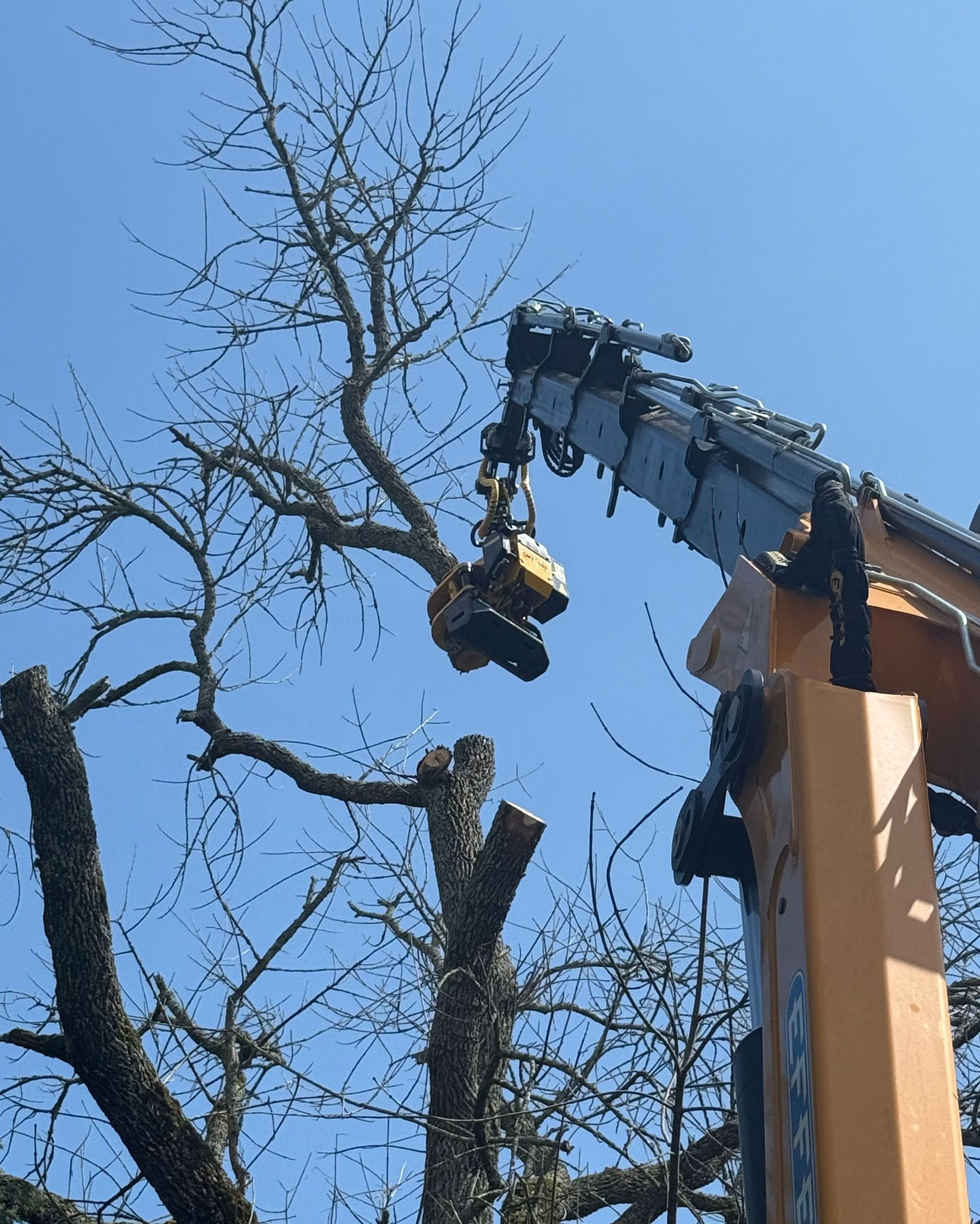 Crane Services