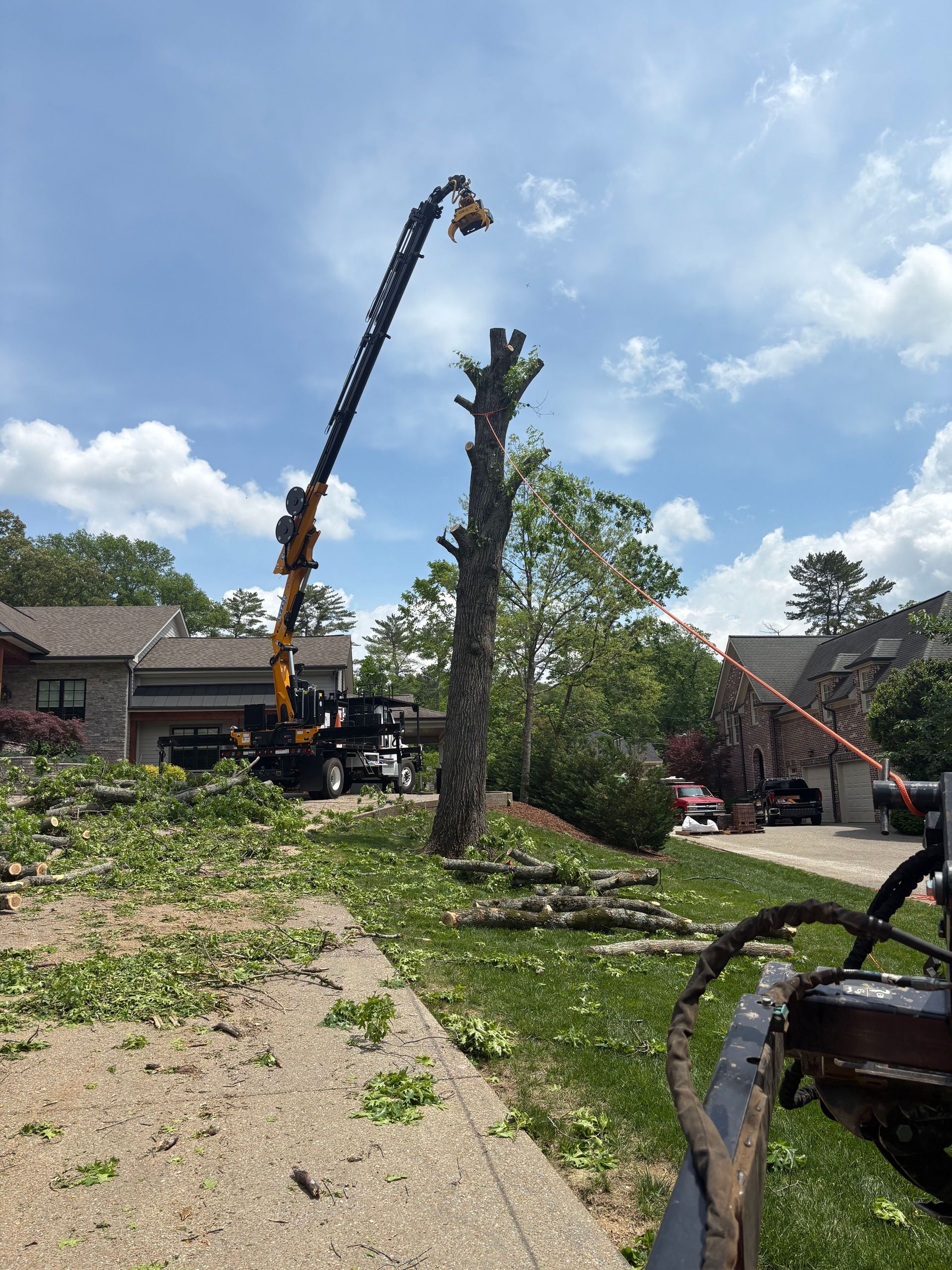 Tree Removal & Stump Grinding