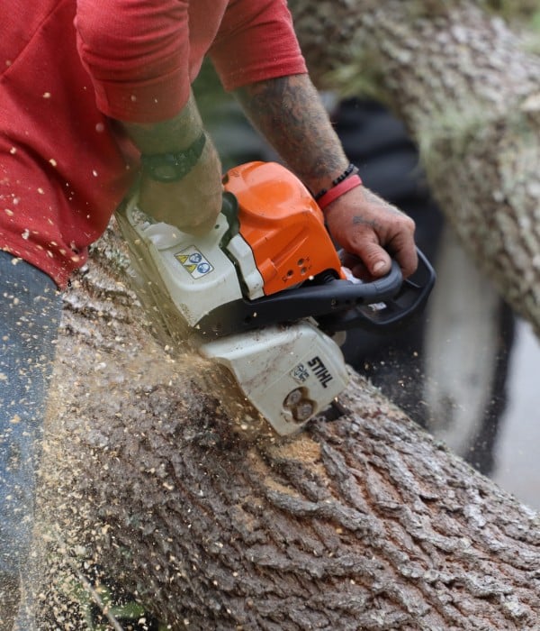 Close-up of an arborist using a chainsaw to cut through a tree log