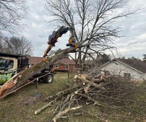 Grapple crane loading cut tree logs during land clearing and debris removal operation