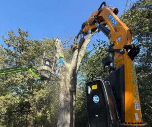Knuckle boom crane removing large tree section during commercial tree removal in Hickory area