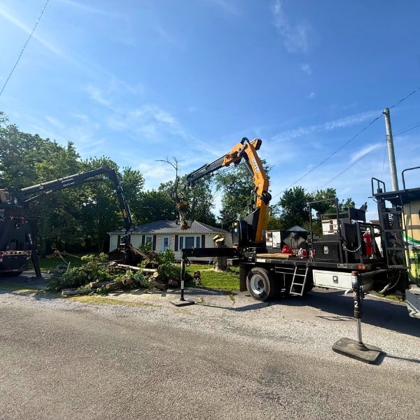 Grapple saw crane lifting a fallen tree trunk near a storm-damaged fence and building