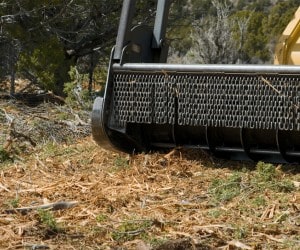 Forestry mulcher attachment clearing brush and debris in a wooded area