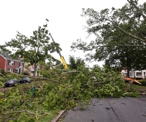 Crane truck clearing fallen trees blocking a residential street after a storm