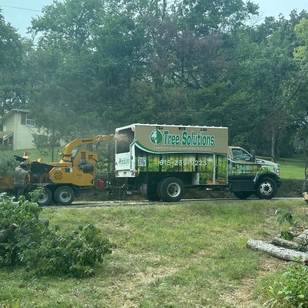 Tree Solutions branded truck and wood chipper parked on a residential street