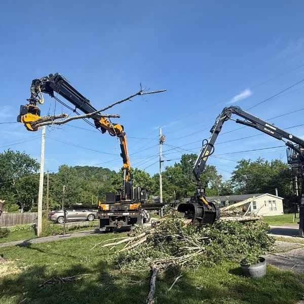 Two grapple saw cranes clearing tree debris near power lines on a residential street