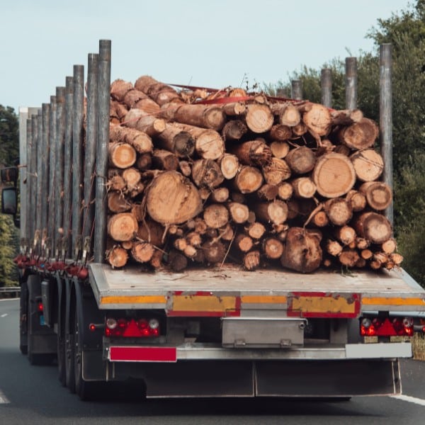 Flatbed truck loaded with large cut logs for firewood transport