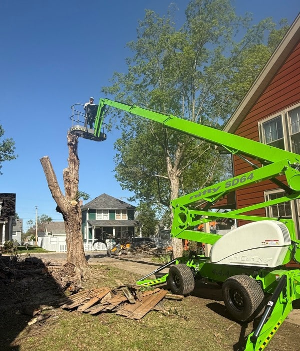 Tree Solutions arborist in a green Niftylift SD64 boom lift removing sections from a dead tree beside a red residential home