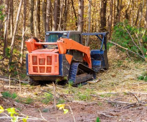 Skid steer with mulcher attachment selectively clearing brush in a forested area