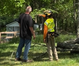 Tree Solutions crew member consulting with homeowner about tree preservation and debris cleanup