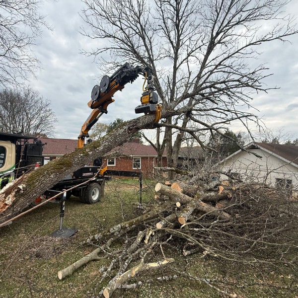 Grapple truck loading cut tree logs during land clearing and debris removal operation