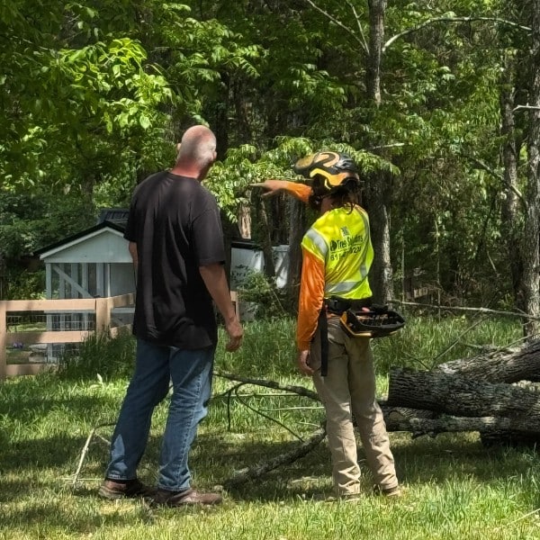 Tree Solutions arborist consulting with homeowner about tree preservation and care options