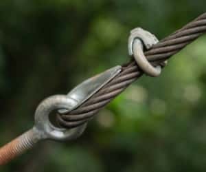Close-up of tree cabling hardware connecting support cables for structural tree preservation