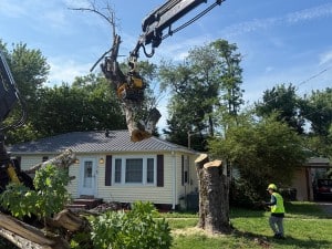 Tree Solutions grapple saw crane lifting a large log section over a home with a ground crew member spotting from below
