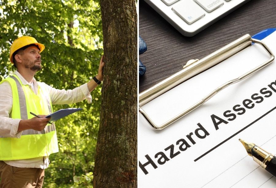 Certified Arborist inspecting a tree beside a hazard assessment form.